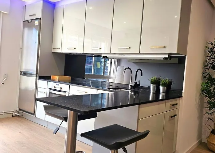 Exclusivo En El Centro Lejlighed